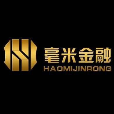 上海毫米金融信息服務(wù) 專業(yè)金融信息咨詢的領(lǐng)航者